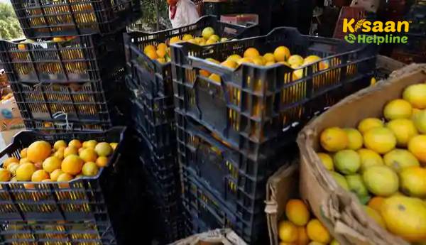 किसान ट्रेन: संतरे, सब्जी किसानों के लिए गडकरी ने विशेष झंडारोहण किया किसान ट्रेन: संतरे, सब्जी किसानों के लिए गडकरी ने विशेष झंडारोहण किया